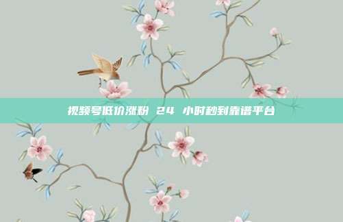 视频号低价涨粉 24 小时秒到靠谱平台