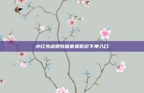 小红书点赞收藏套餐低价下单入口