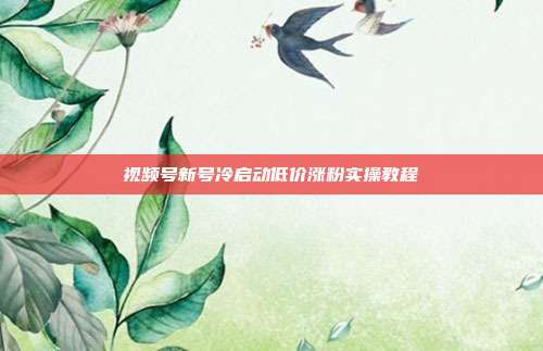 视频号新号冷启动低价涨粉实操教程
