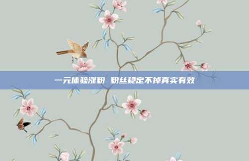 一元体验涨粉 粉丝稳定不掉真实有效
