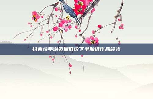 抖音快手浏览量低价下单助推作品曝光