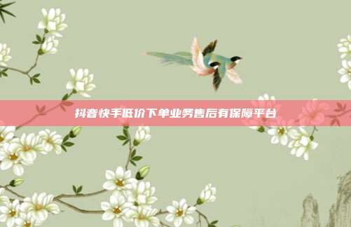 抖音快手低价下单业务售后有保障平台