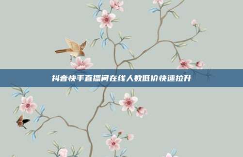 抖音快手直播间在线人数低价快速拉升