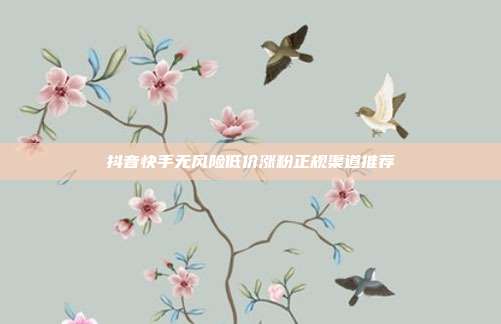 抖音快手无风险低价涨粉正规渠道推荐