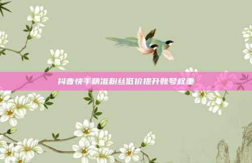 抖音快手精准粉丝低价提升账号权重