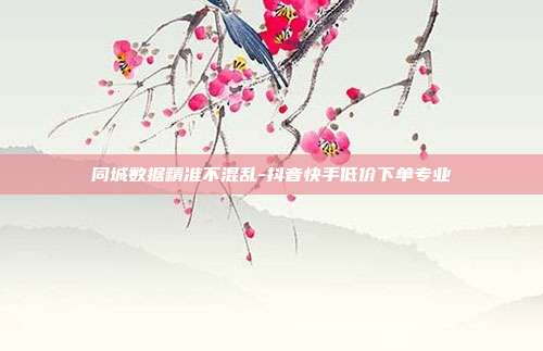 同城数据精准不混乱-抖音快手低价下单专业
