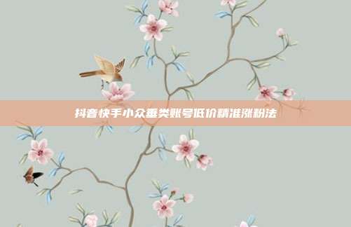 抖音快手小众垂类账号低价精准涨粉法