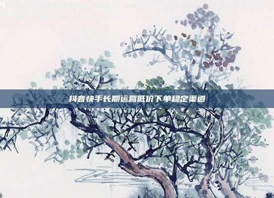 抖音快手长期运营低价下单稳定渠道