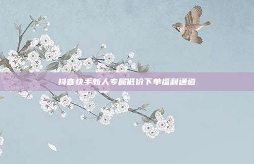 抖音快手新人专属低价下单福利通道