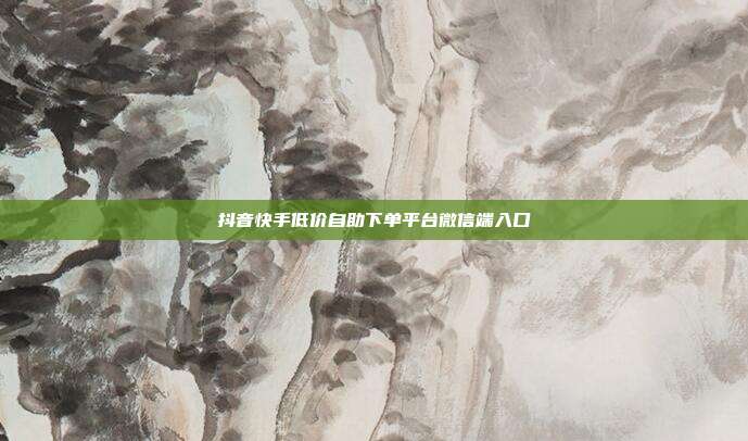 抖音快手低价自助下单平台微信端入口
