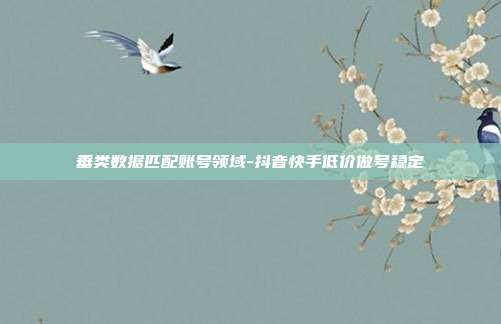 垂类数据匹配账号领域-抖音快手低价做号稳定
