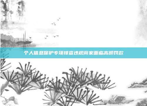 个人信息保护专项排查违规商家面临高额罚款