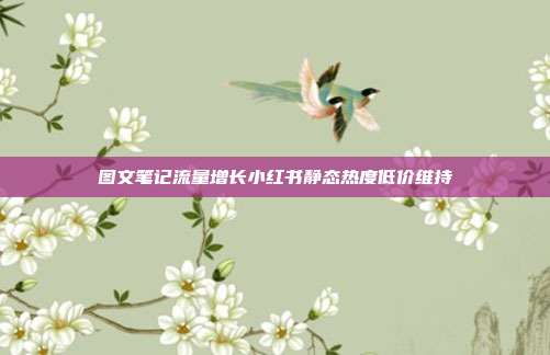 图文笔记流量增长小红书静态热度低价维持