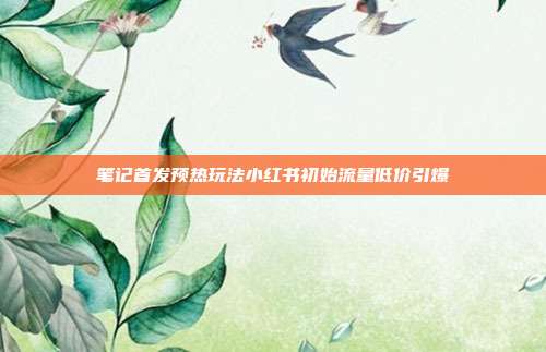 笔记首发预热玩法小红书初始流量低价引爆