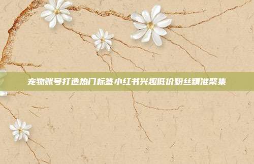 宠物账号打造热门标签小红书兴趣低价粉丝精准聚集