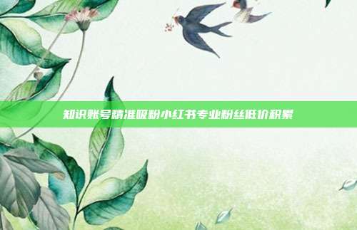 知识账号精准吸粉小红书专业粉丝低价积累