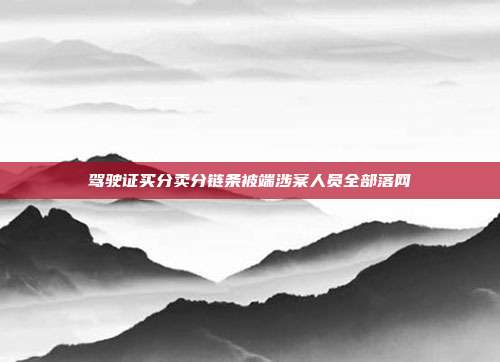 驾驶证买分卖分链条被端涉案人员全部落网