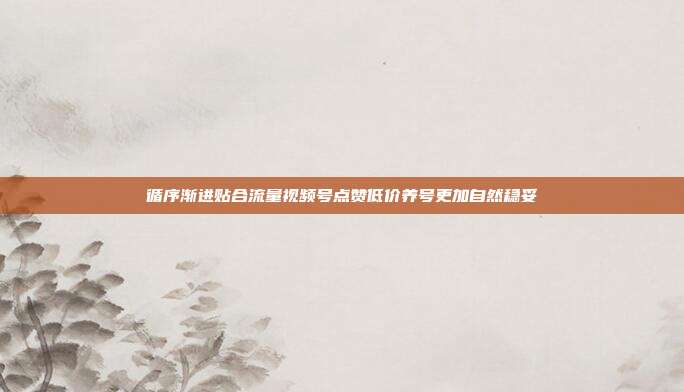 循序渐进贴合流量视频号点赞低价养号更加自然稳妥