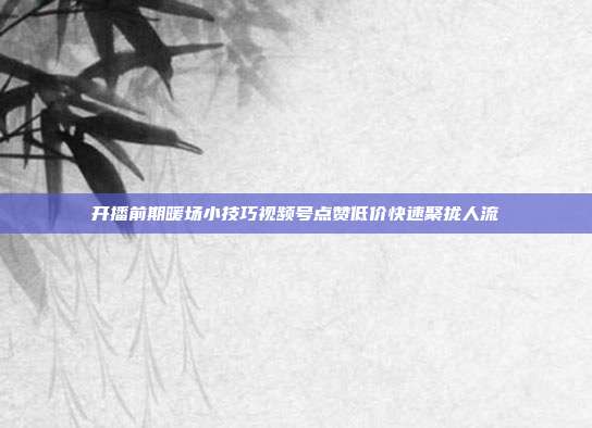 开播前期暖场小技巧视频号点赞低价快速聚拢人流
