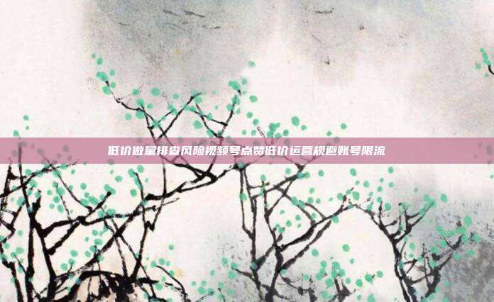 低价做量排查风险视频号点赞低价运营规避账号限流
