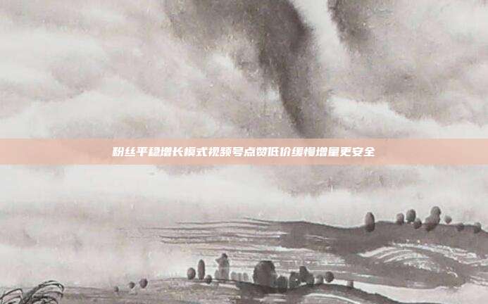 粉丝平稳增长模式视频号点赞低价缓慢增量更安全