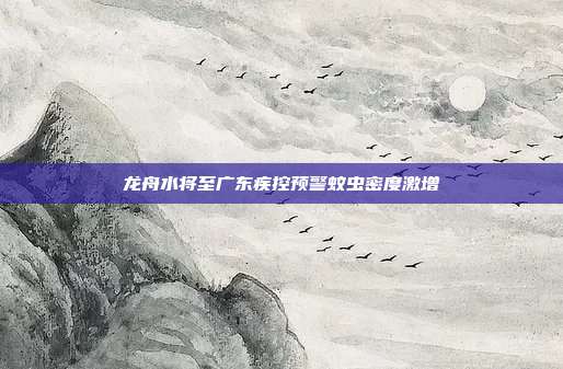 龙舟水将至广东疾控预警蚊虫密度激增
