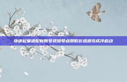 快速起量适配新账号视频号点赞低价迅速完成冷启动
