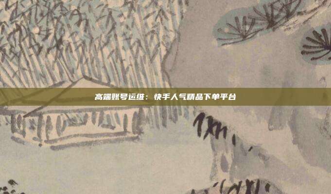 高端账号运维：快手人气精品下单平台