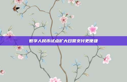 数字人民币试点扩大日常支付更便捷