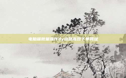 电脑端批量操作dy点赞高效下单网址