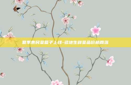 夏季惠民菜篮子上线-多地生鲜菜品价格回落