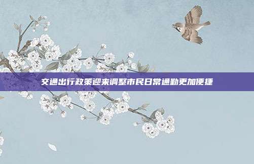 交通出行政策迎来调整市民日常通勤更加便捷