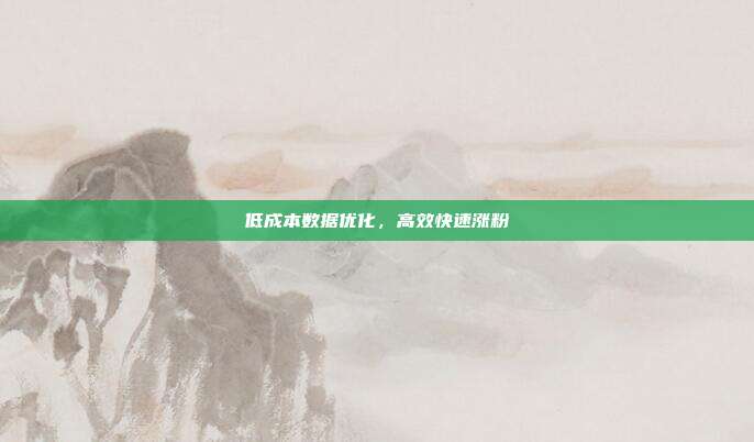 低成本数据优化，高效快速涨粉