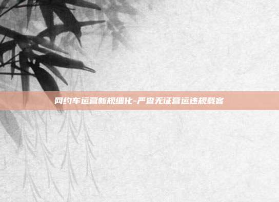 网约车运营新规细化-严查无证营运违规载客