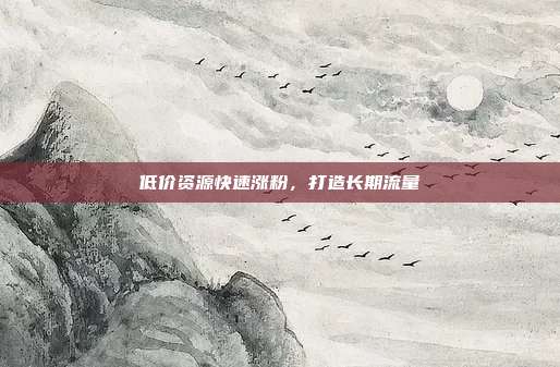 低价资源快速涨粉，打造长期流量