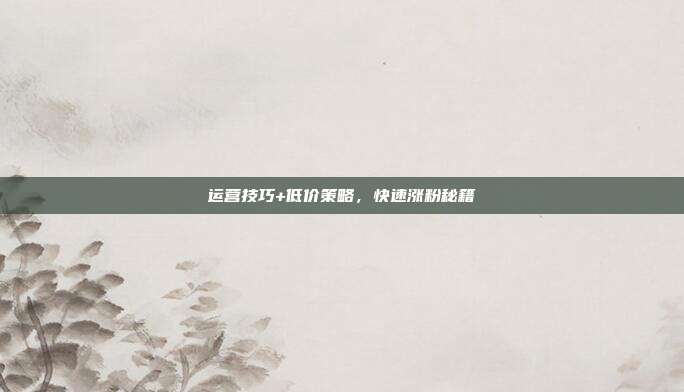 运营技巧+低价策略，快速涨粉秘籍
