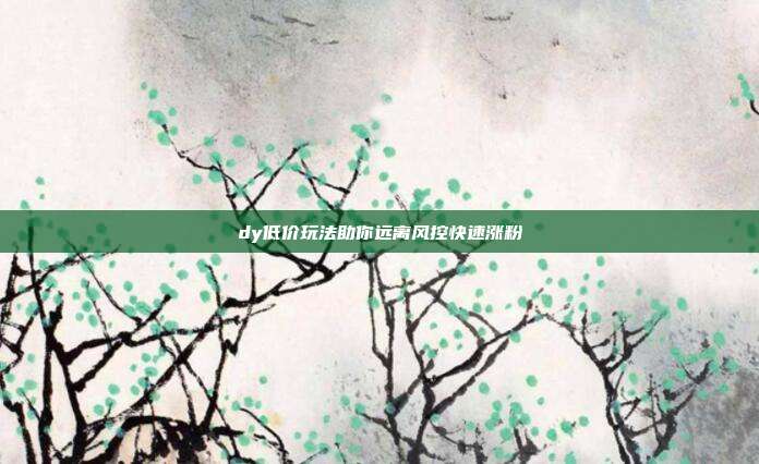 dy低价玩法助你远离风控快速涨粉