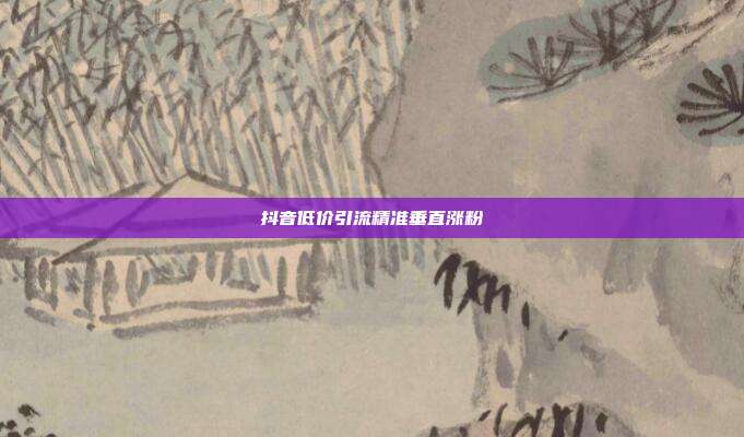 抖音低价引流精准垂直涨粉