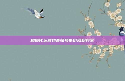 规模化运营抖音账号低价涨粉方案