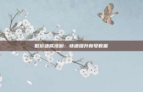 低价速成涨粉：快速提升账号数据