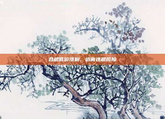 合规低价涨粉，远离违规风险