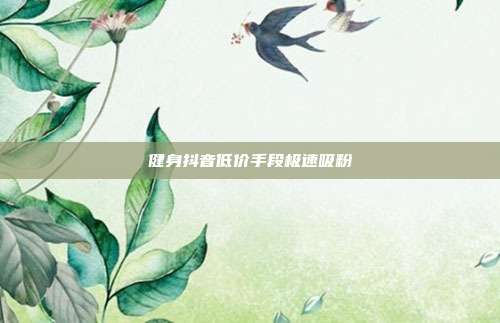 健身抖音低价手段极速吸粉