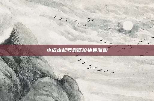 小成本起号靠低价快速涨粉