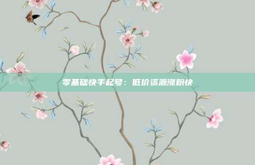 零基础快手起号：低价资源涨粉快
