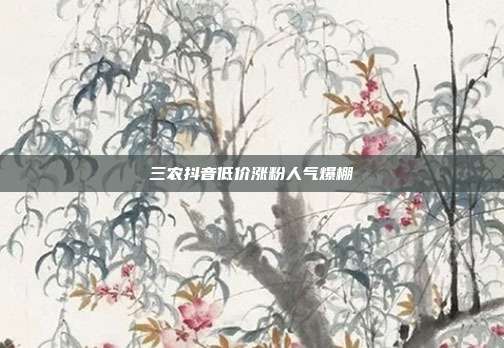 三农抖音低价涨粉人气爆棚