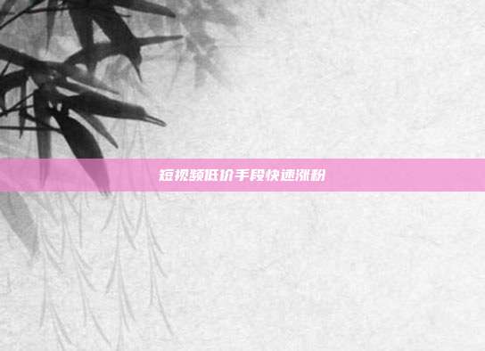 短视频低价手段快速涨粉
