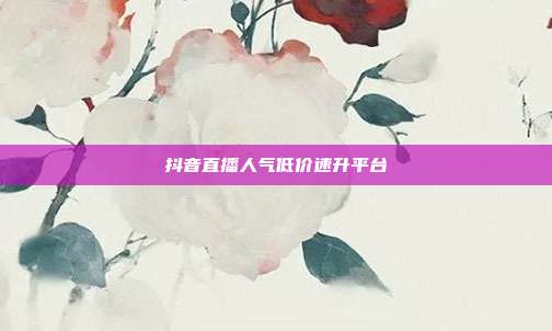 抖音直播人气低价速升平台