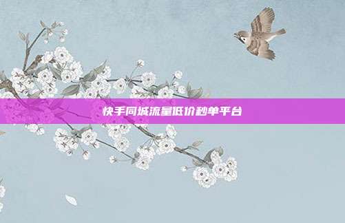 快手同城流量低价秒单平台