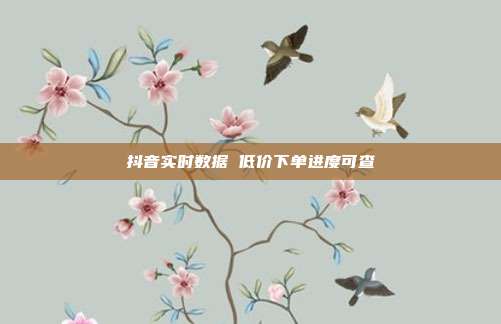 抖音实时数据 低价下单进度可查