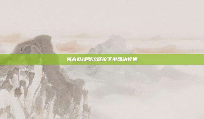 抖音私域引流低价下单网站打通
